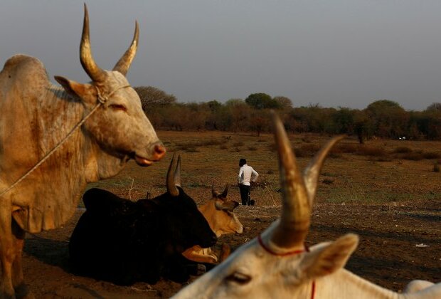 South Sudan Woman Rejects Forced Marriage