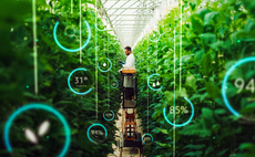 Nature-focused AI projects report 'positive impact' following £2m pilots