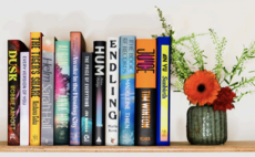 'Creatives are rising to this moment': Climate Fiction Prize unveils longlist