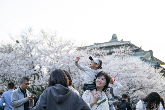 CHINA-CAMPUS-SPRING-BLOSSOM (CN)