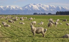 Fresh mindset meets traditional values on Taranaki farm