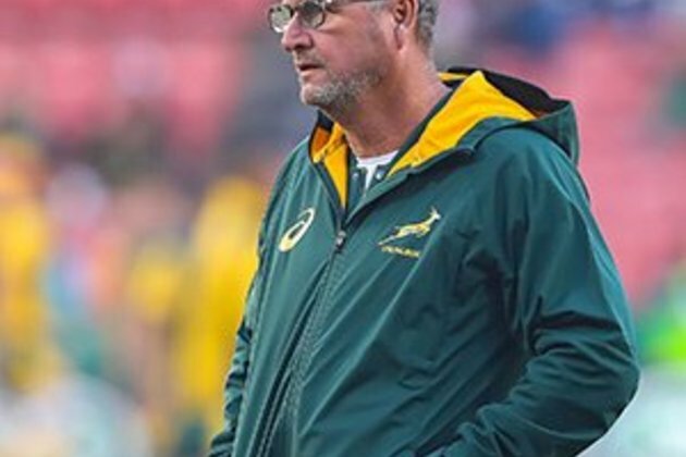 Bok shock as attack consultant Swys quits