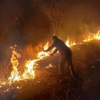 NAMIBIA-ETOSHA NATIONAL PARK-WILDFIRES