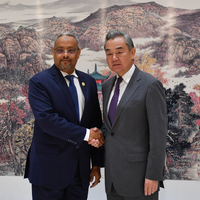 CHINA-HUNAN-CHANGSHA-WANG YI-DJIBOUTI-FM-MEETING (CN)