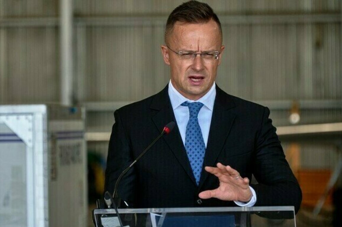 Dont threaten us  EU state to Zelensky