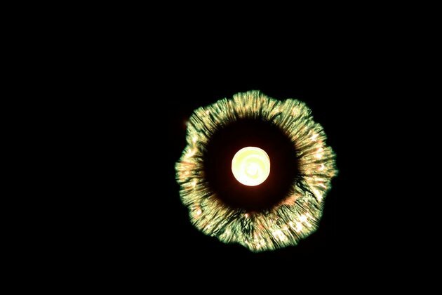 Cosmic Concert for Global Astronomy Month 2021
