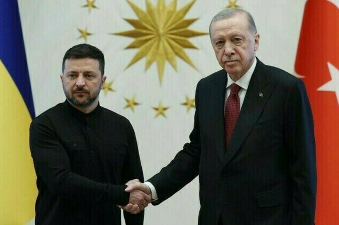 Powerful earthquake shakes Trkiye as Zelensky and Erdogan hold talks