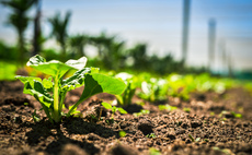 Financial sector needs integrated approach to accounting for nature and climate