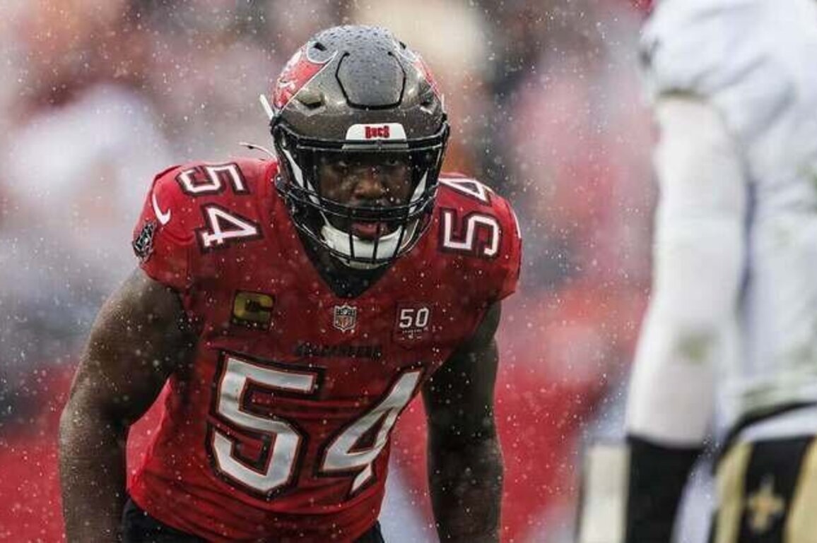 Go Bengals and Rams! | A Week 16 Viewing Guide for Bucs Fans