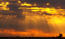 Clearer skies will be positive for Pantoro after 'wet' wet season at Halls Creek, WA