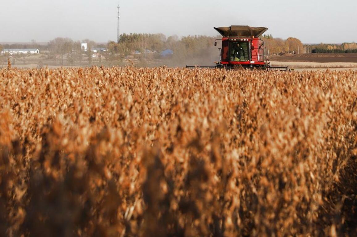 U.S. farmer laments loss of China market due to tariffs