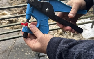 New sheep genotyping service launched