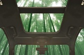 Ford exploring the use of bamboo for car interiors