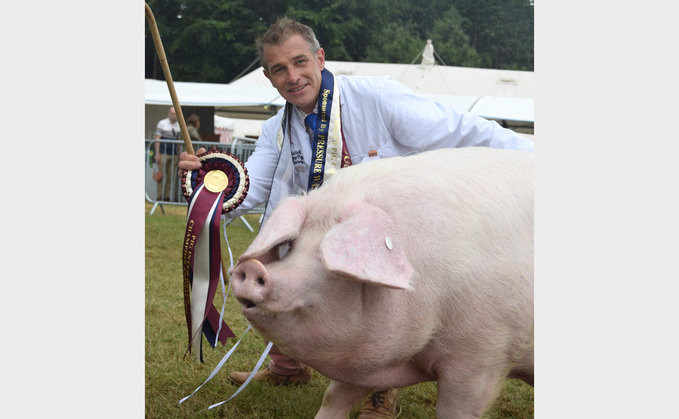 Royal Cornwall Show preview: Preserving Cornwall's native pig