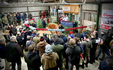 A century of trade: Talgarth Market celebrates 100 years 