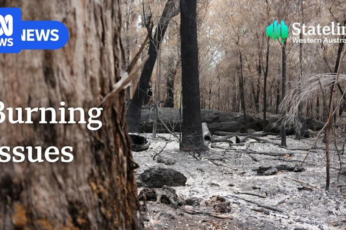WA government steadfast on prescribed burns despite 'mass' tree felling