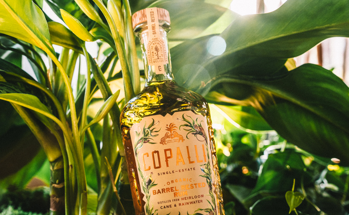 Credit: Copalli Rum Credit: Copalli Rum