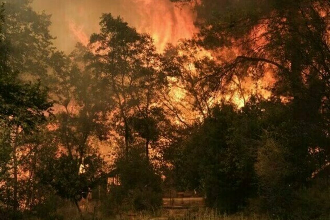 Firefighters Battle Wildfires on Greece's Chios Island for Second Day