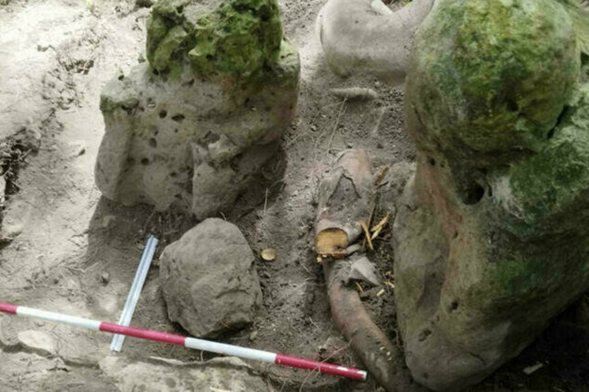 Archaeologists unearth 3,000-year-old Mayan city in Guatemalan jungle
