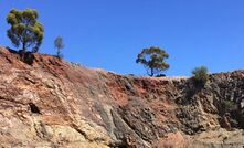  Explorers north of Kalgoorlie trying to grow into new miners.