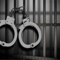 Delhi Police bust interstate illegal arms smuggling cartel