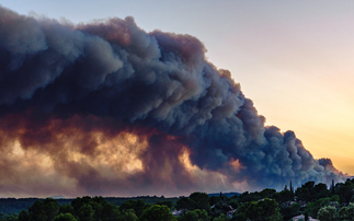 'Dangerous territory': August confirmed as joint-hottest month on record