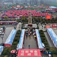 HenanPixels | Annual Majie Quyi Fair kicks off in Henan Province