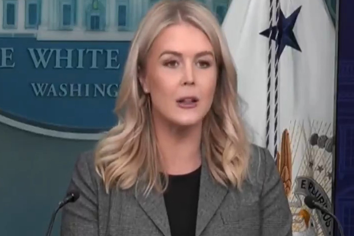 "Pure partisan politics played by Democratic party: White House on US govt shutdown
