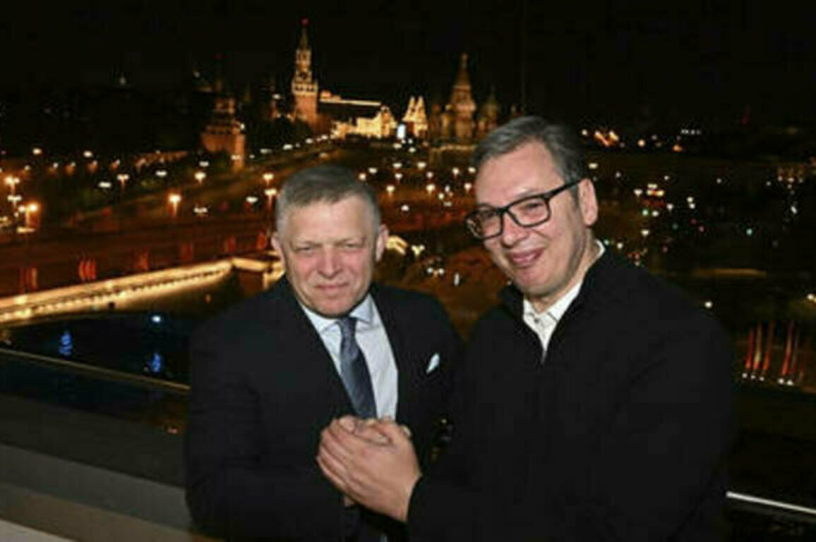 Serbia's Vucic and Slovakia's Fico share heartfelt VIDEO from Moscow