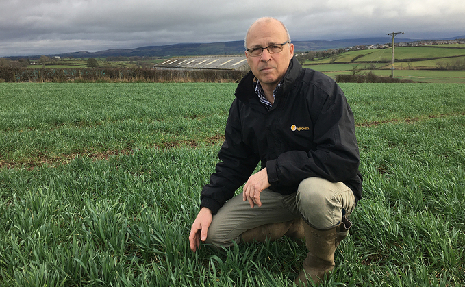 Crop walk with Simon Nelson: Early nitrogen is key following spring drilling delays