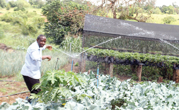 Nsamba ng’alaga engeri gy’afukirira enva endiirwa wamu n’ebibala. Ezimu azirimira mu ‘Green house.’ Nsamba ng’alaga engeri gy’afukirira enva endiirwa wamu n’ebibala. Ezimu azirimira mu ‘Green house.’