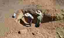 A new DPIRD led collaboration with grower groups will work with landholders to reduce the risk of wind erosion on properties with sandy soils.