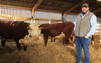 Beef special: Pedigree and commercial focus for Herefords on Oxfordshire farm