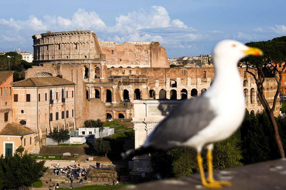 ITALY-ROME-SPRING-SCENERY