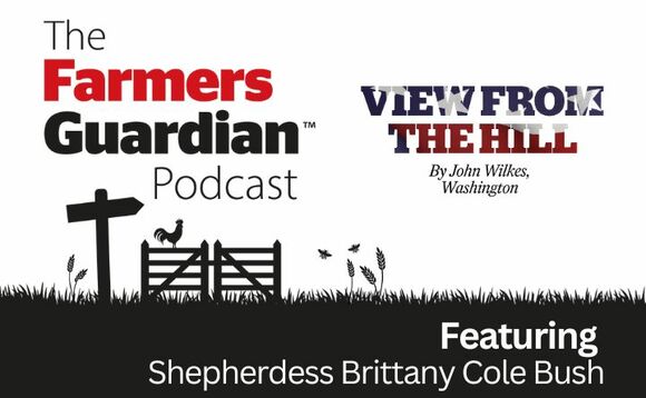 The ż podcast: Taking the heat out of California wildfires using sheep and goats