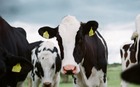 New Zealand dairy farm management start-up raises $23m