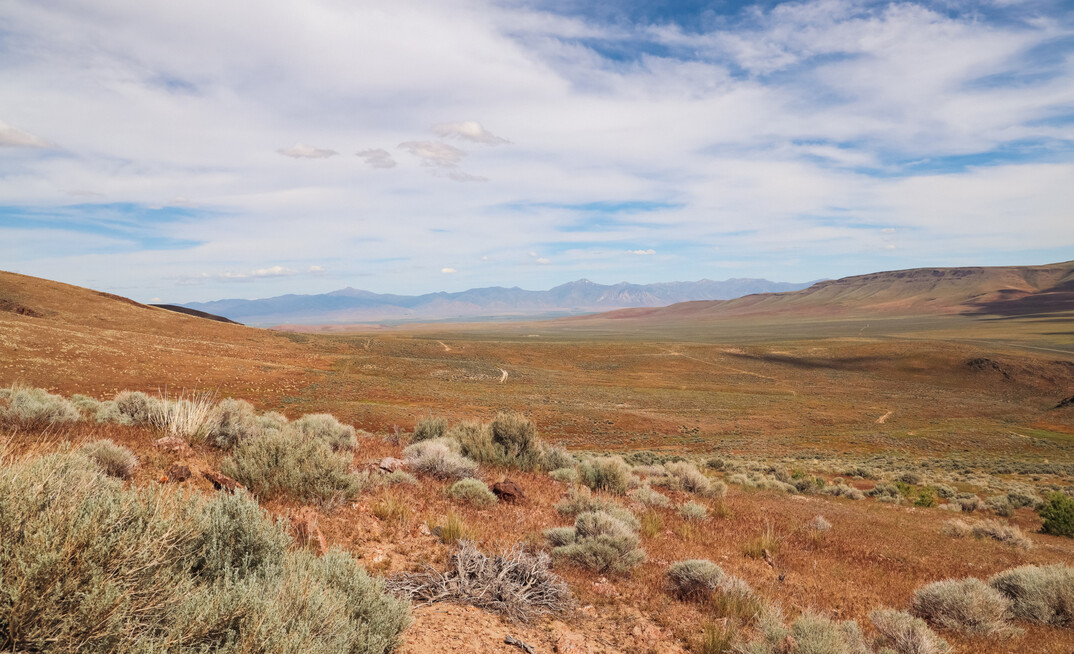 The Thacker Pass site.