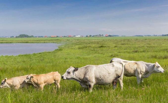 UK-Dutch agricultural trading relationships too strong to change after Brexit