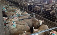Concerns trading at Cowbridge will never resume