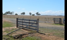  Rabobank's latest survey shows farmer confidence is slipping.