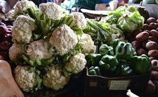 Cauliflower crisis as weather wipes out 40 per cent