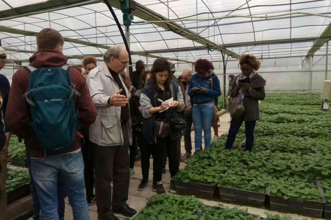 "Dr. Bethune of potato": Belgian agronomist cultivates EU-China friendships