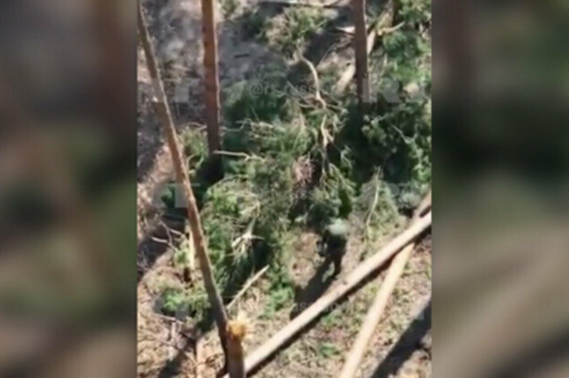 Russian soldier catches Ukrainian drone with bare hands (VIDEO)
