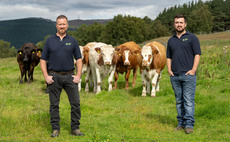 Virtual fencing project sees hill land flourish on Scottish monitor farm