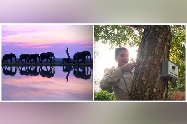 This computer engineer-turned-conservation scientist is using sound to mitigate human-elephant conflict in India