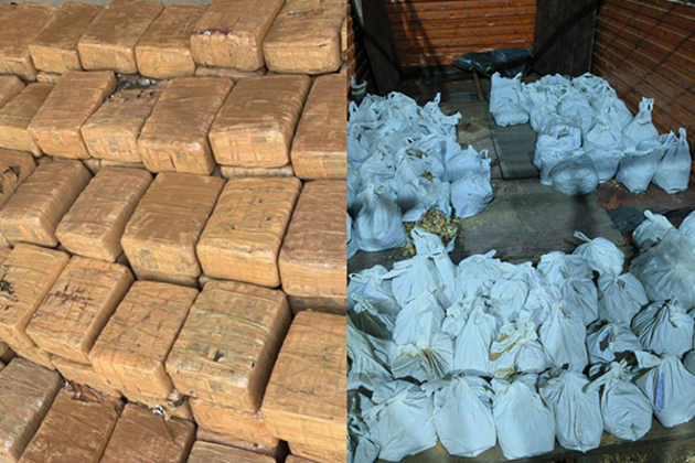 MP: CBN Neemuch arrests 12, seizes ganja, poppy straw, opium in various anti-drug operations