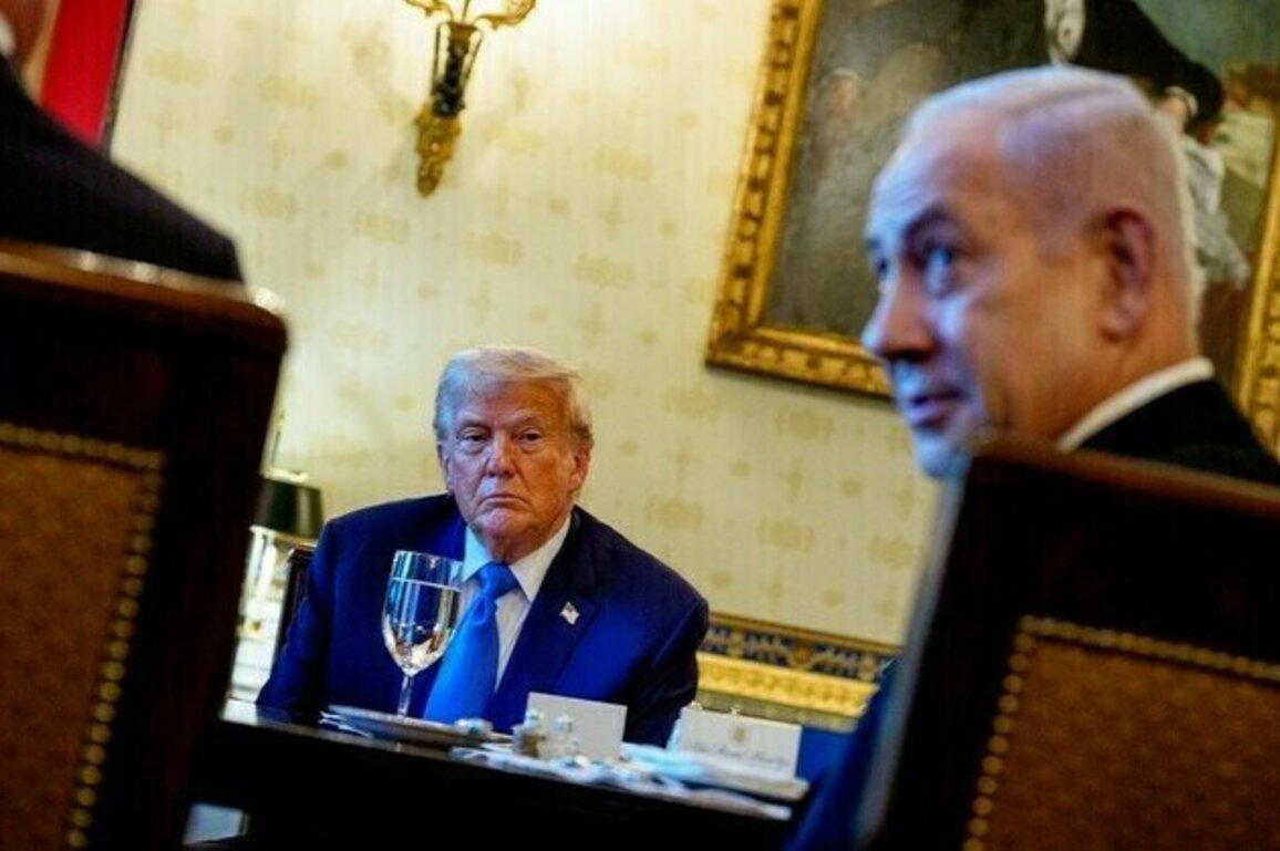 Trump yelled at Netanyahu for dismissing Gaza starvation  media
