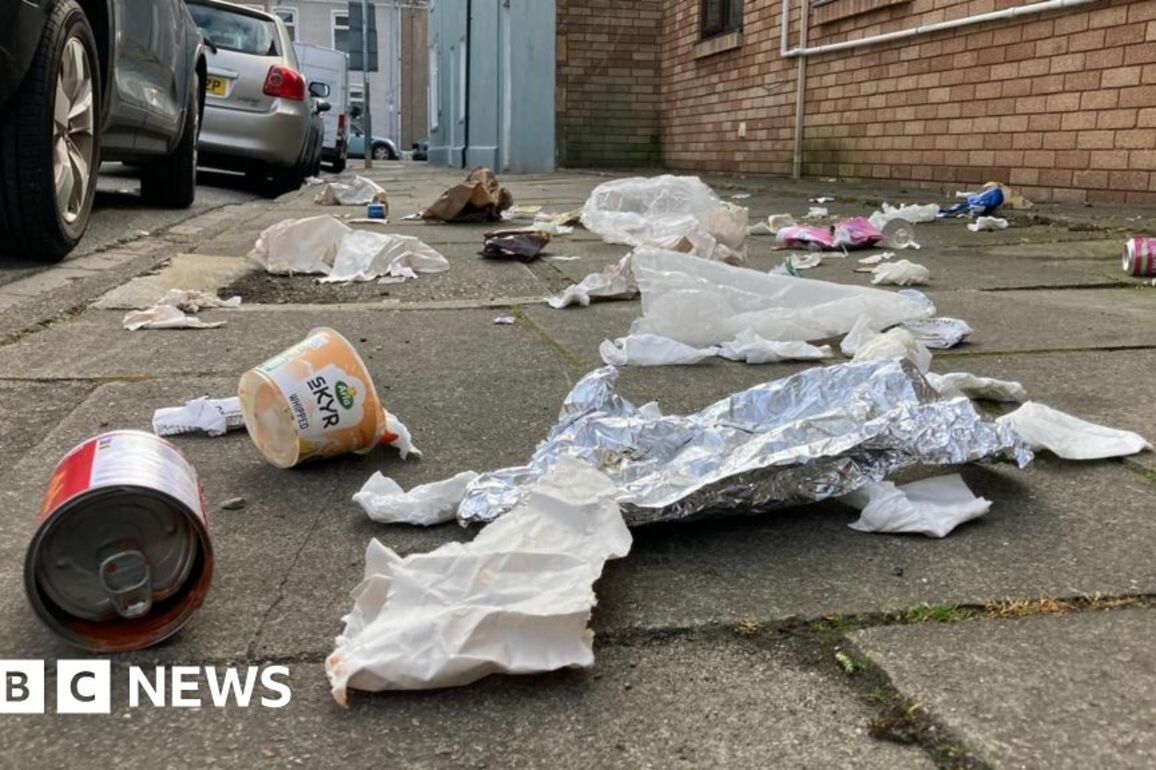 Litter levels across Wales at a crisis point, warn campaigners