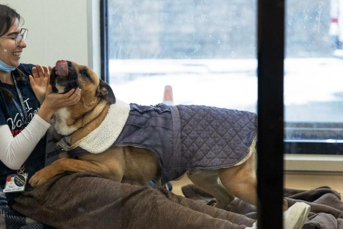 Page seeks $18 million for St. Louis County animal shelter