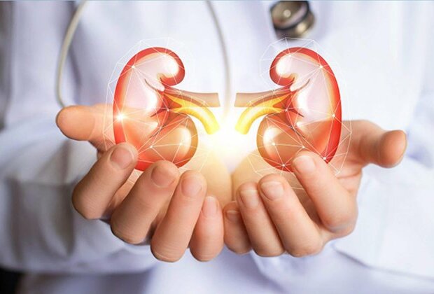 Researchers suggest new scanning methods to reduce evaluation time of donor kidneys